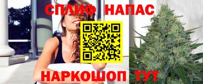 Альфа ПВП Железноводск