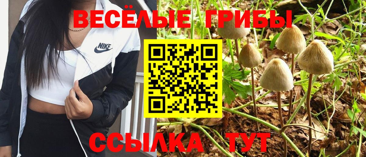 Псилоцибиновые грибы ЛСД  Вход с VPN  Нарьян-Мар 