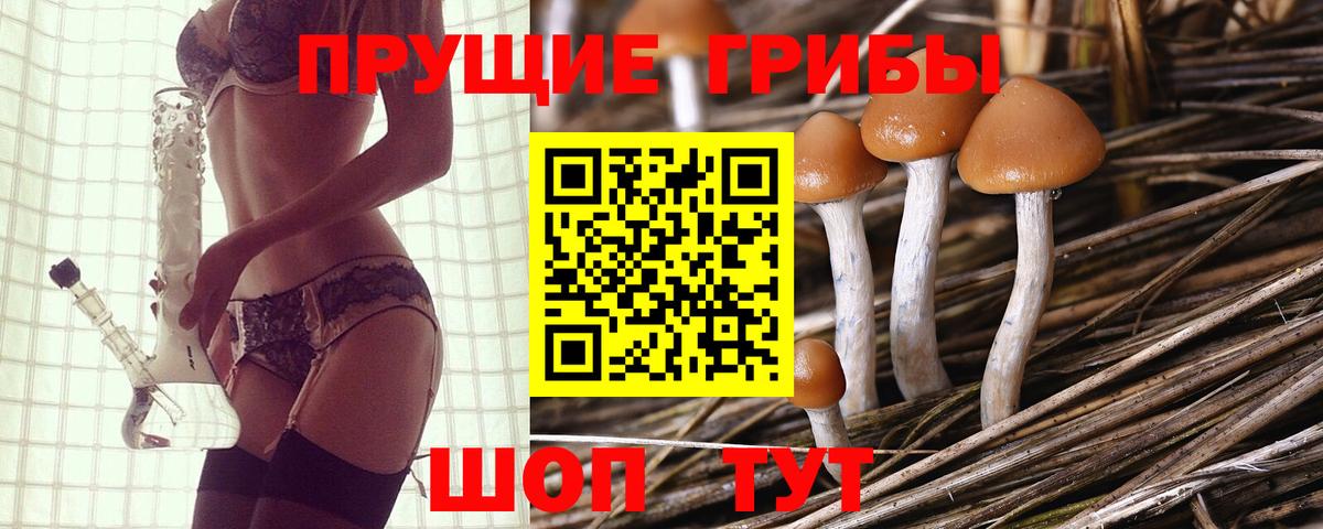 наркотики  Нарьян-Мар  Псилоцибиновые грибы Psilocybe 